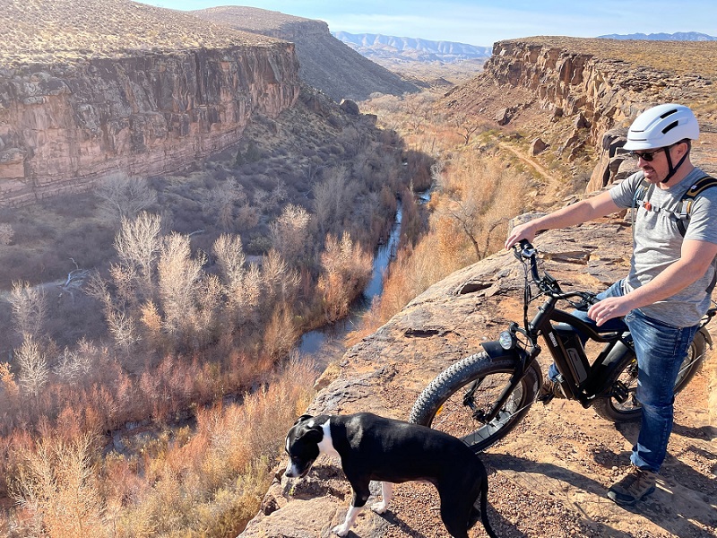 How to Mountain Bike with a Dog